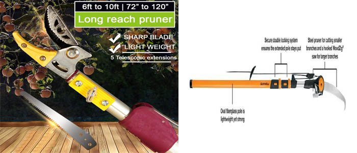 best manual pole saw