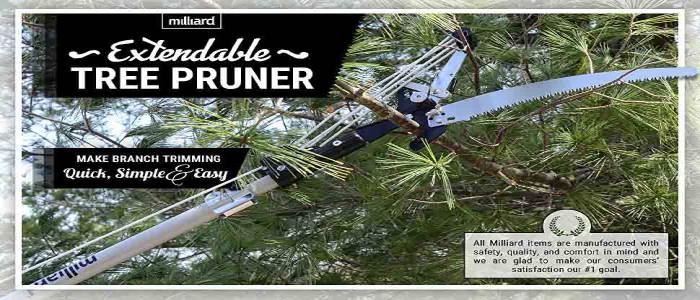 Milliard 7-14 Foot Extendable Tree Pruner and Pole Saw