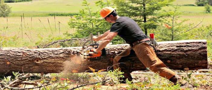 How to Use Chainsaw Mill